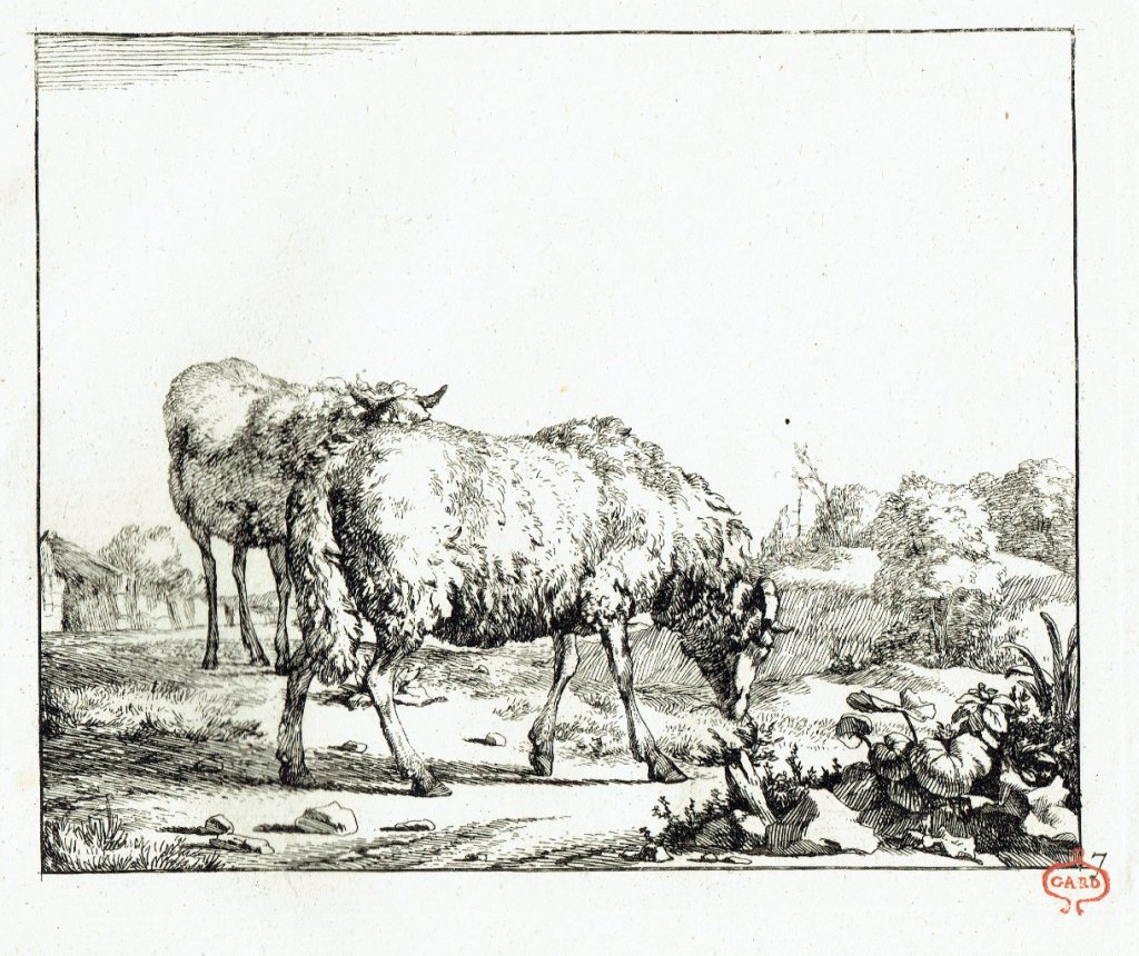 Marc de Bye d'après P. Potter. N. Visscher excud. 1664. Papier vergé, marque de collection Gard (XVIIIe siècle).
27,5 x 21,5 cm