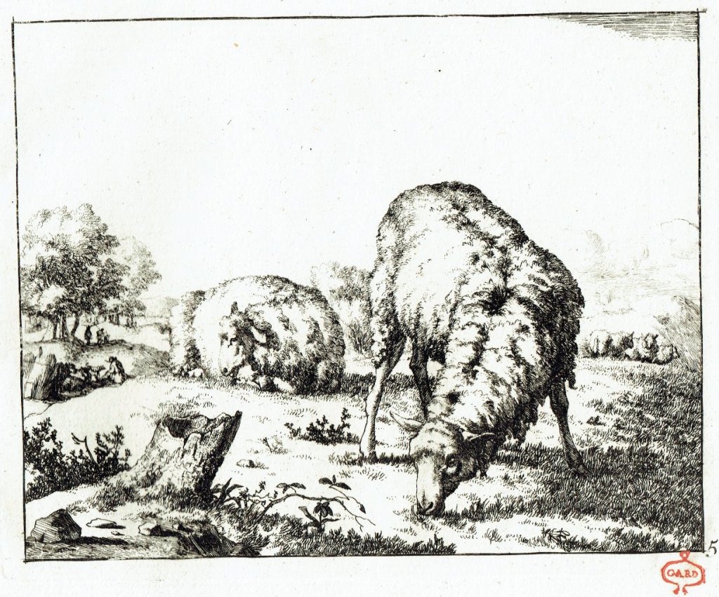 Marc de Bye d'après P. Potter. N. Visscher excud. 1664. Papier vergé, marque de collection Gard (XVIIIe siècle).
27,5 x 21,5 cm