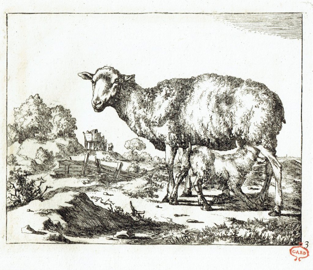 Marc de Bye d'après P. Potter. N. Visscher excud. 1664. Papier vergé, marque de collection Gard (XVIIIe siècle).
27,5 x 21,5 cm
