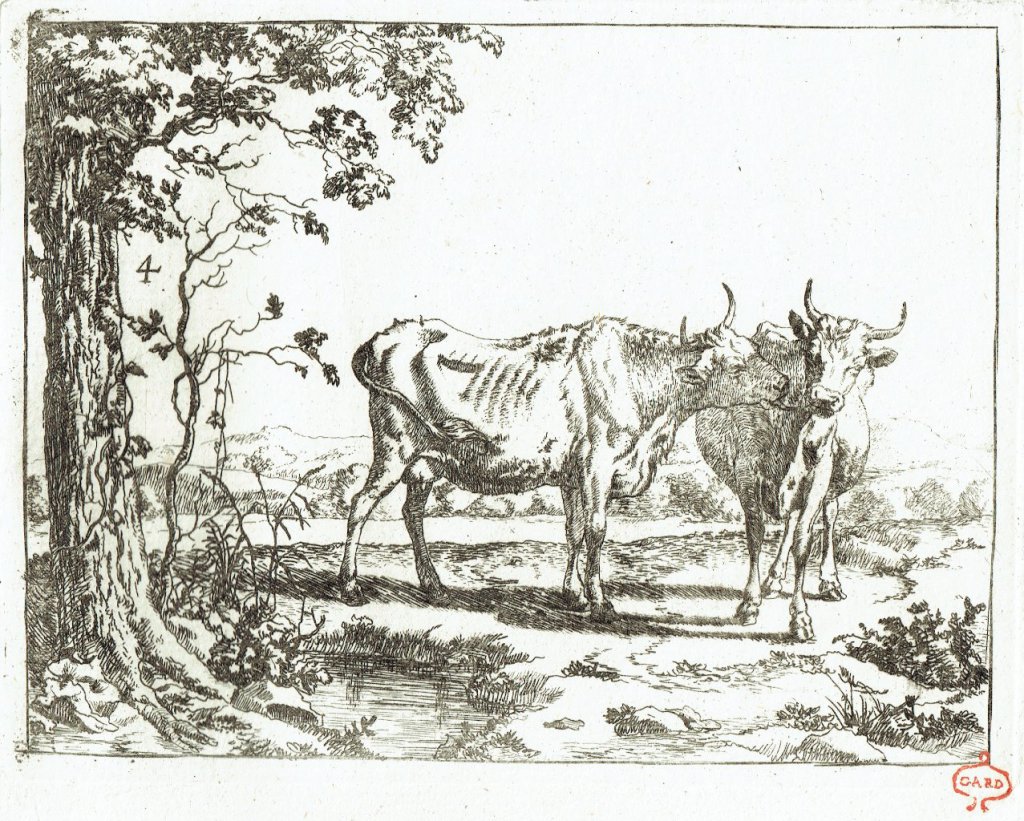 Deux vaches se caressant. Marc de Bye d'après P. Potter. 17e siècle. Papier vergé, marque de collection Gard (XVIIIe siècle).
27,5 x 21,5 cm
