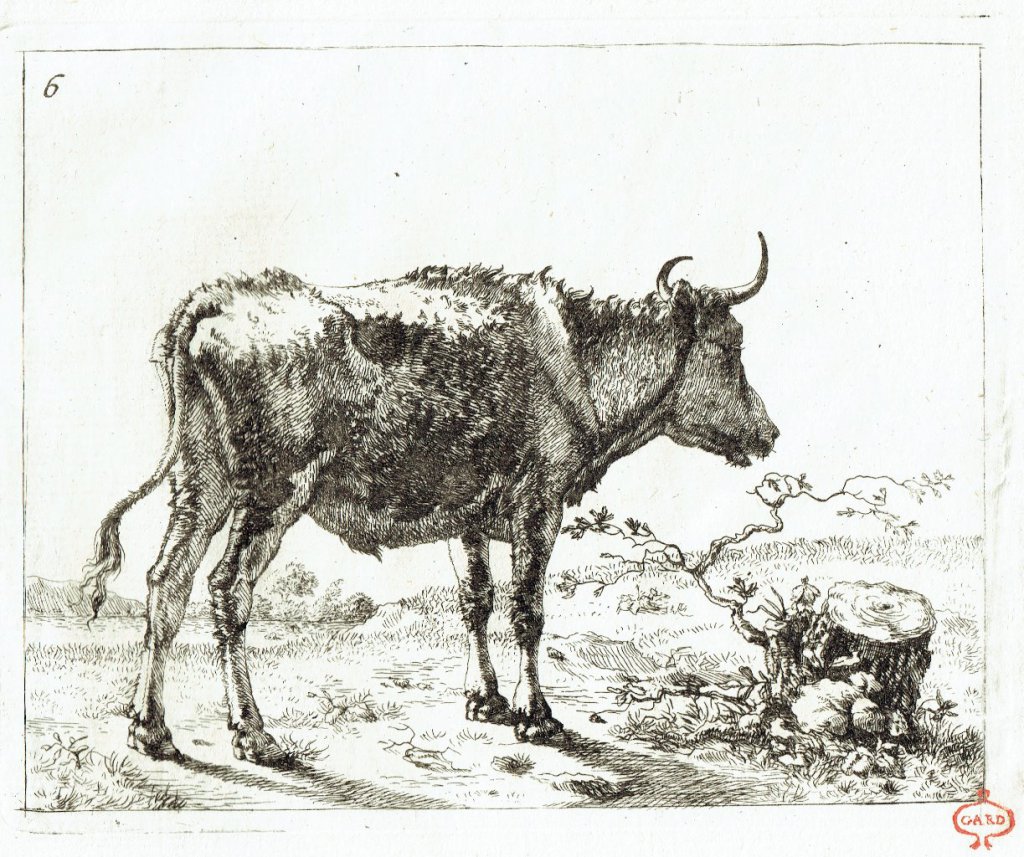 Vache devant une souche. Marc de Bye d'après P. Potter. 17e siècle. Papier vergé, marque de collection Gard (XVIIIe siècle).
27,5 x 21,5 cm