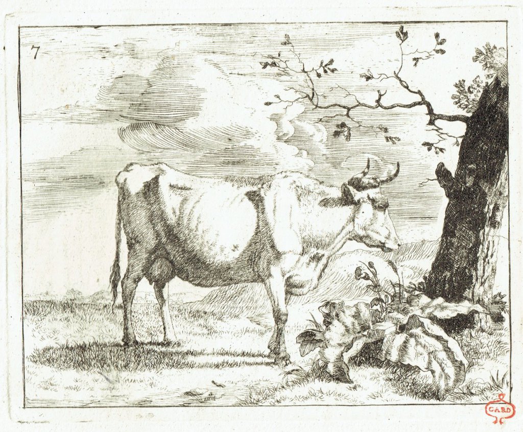 Vache devant un arbre. Marc de Bye d'après P. Potter. 17e siècle. Papier vergé, marque de collection Gard (XVIIIe siècle).
27,5 x 21,5 cm